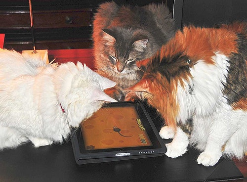 Game for Cats gallery image