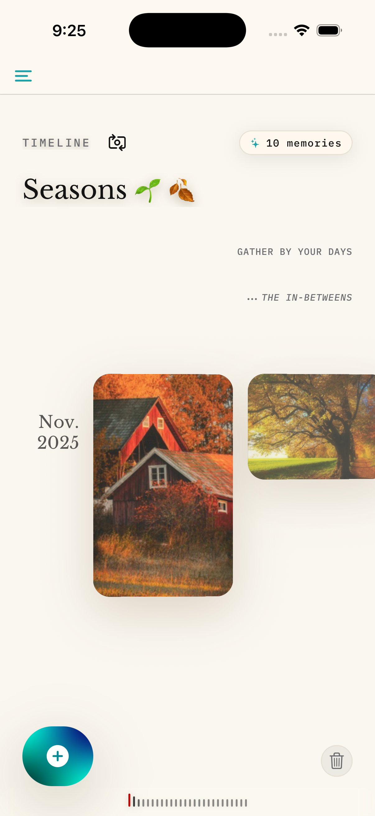 Saradays gallery image