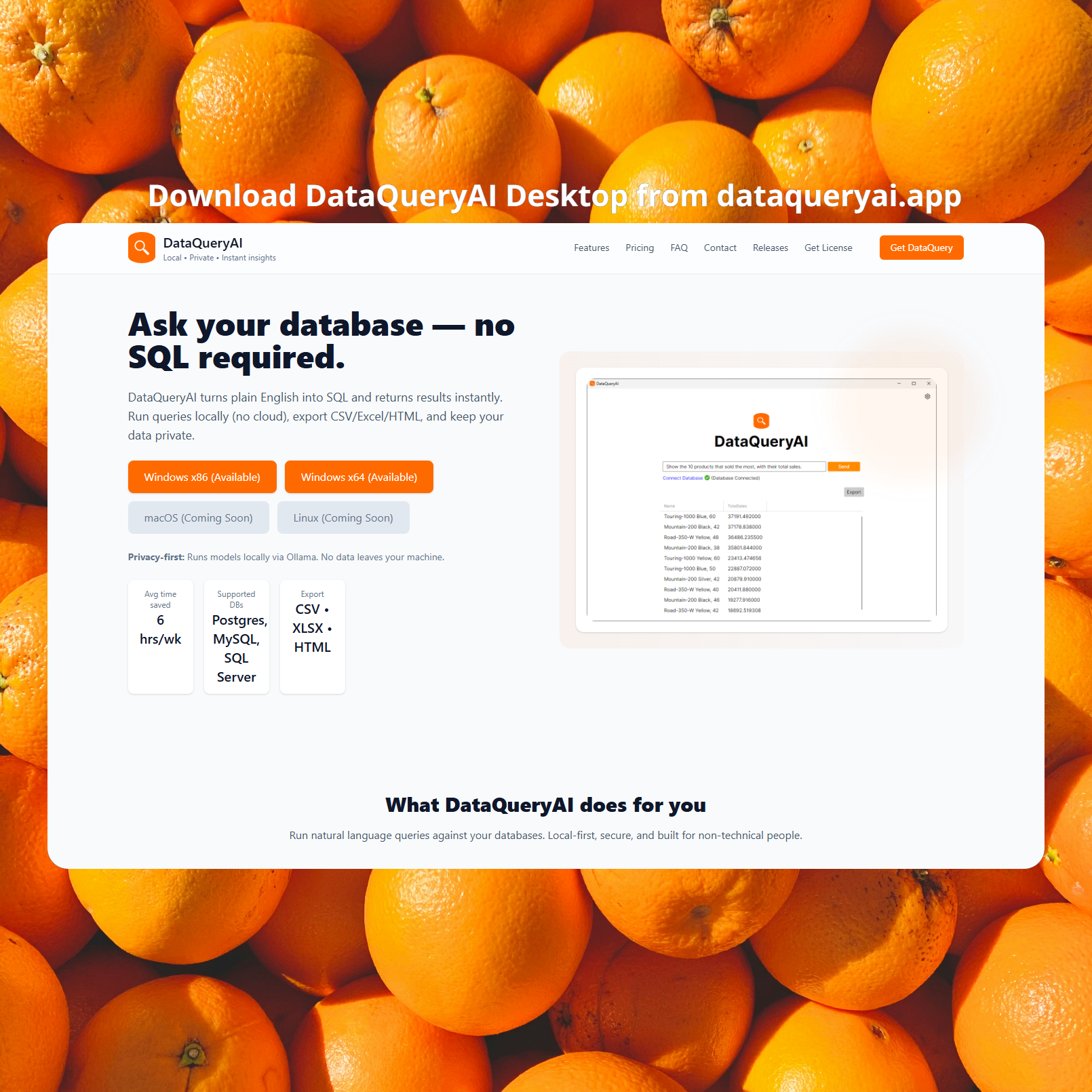 DataQueryAI gallery image