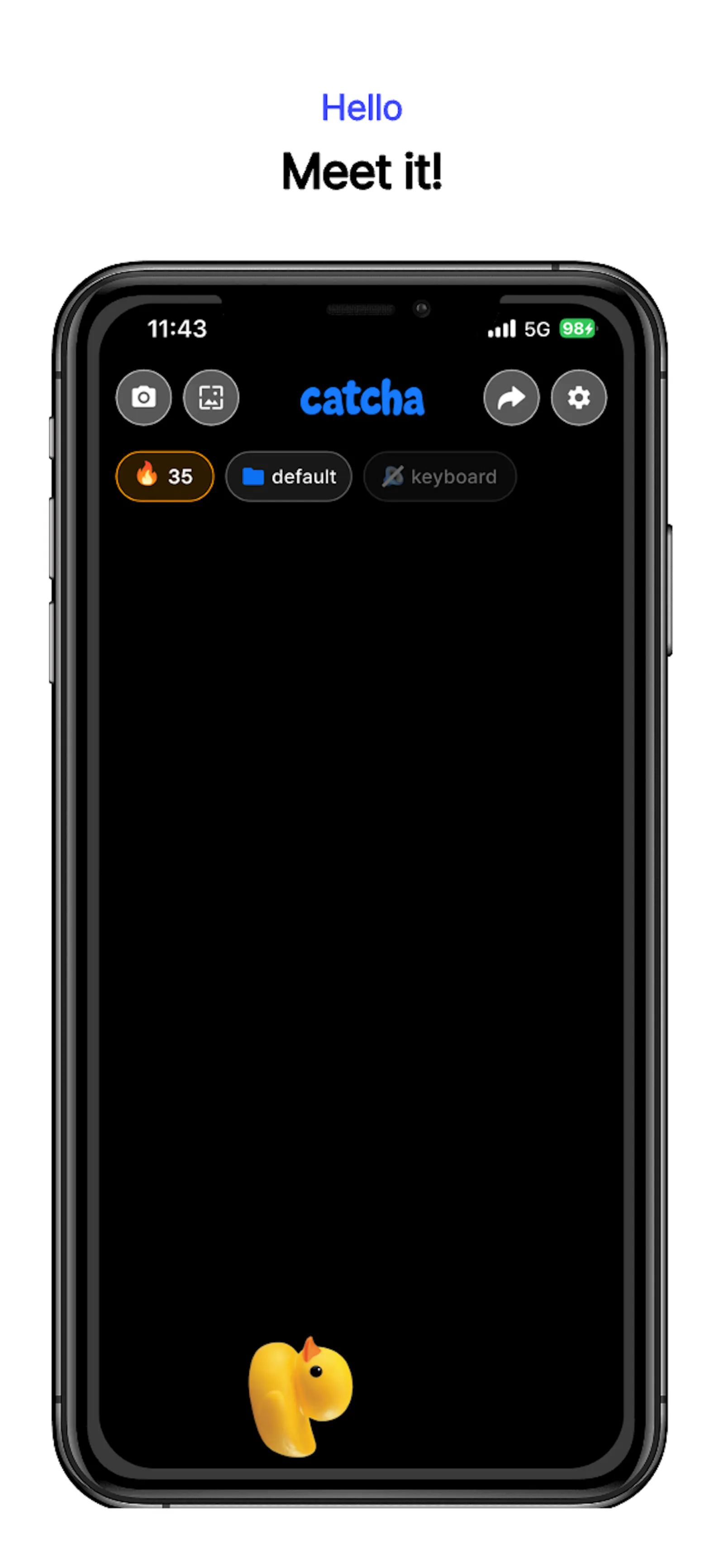 catcha screenshot 2