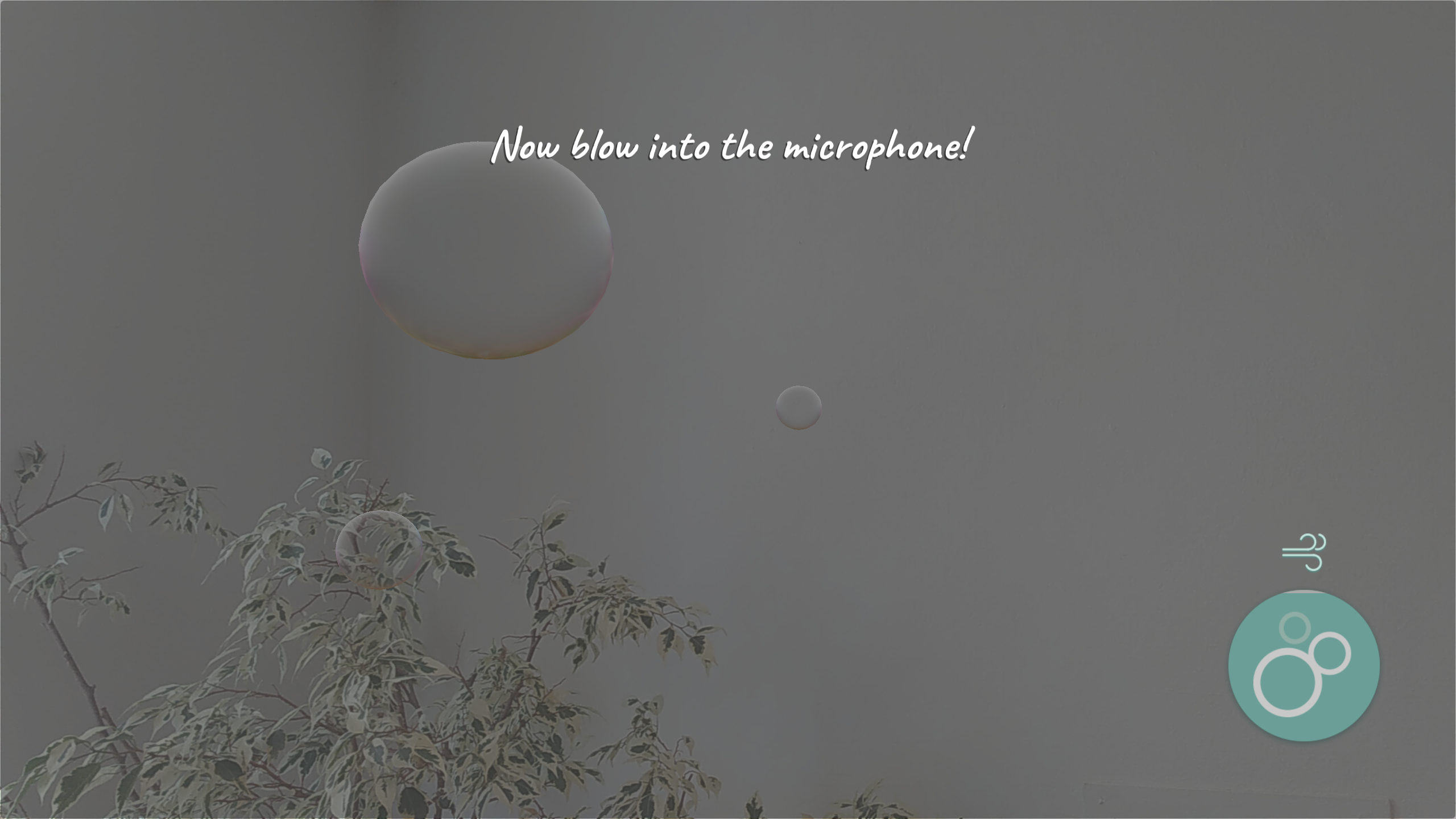 Bubbles gallery image