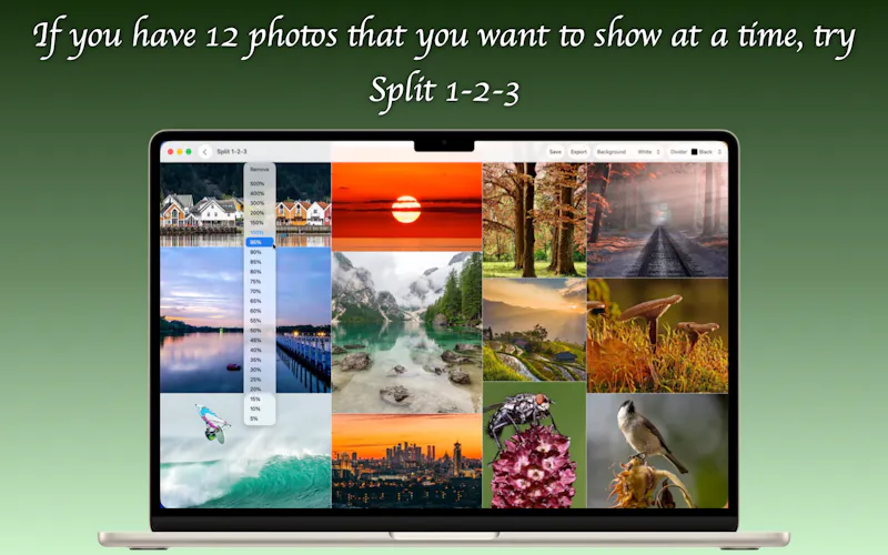 Split 1-2-3 screenshot 1
