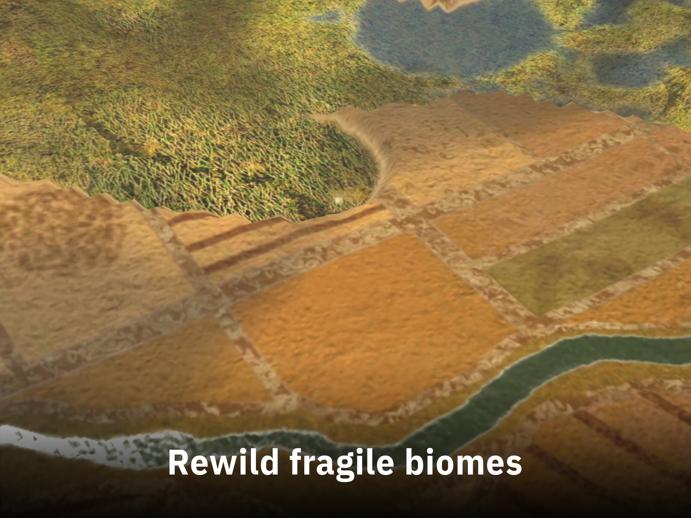 REWILD gallery image