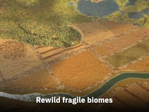 REWILD gallery image