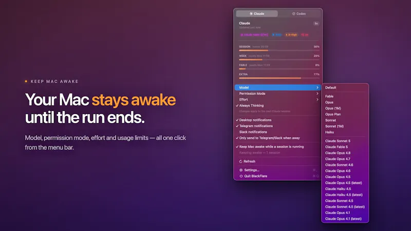 BlackFlare screenshot 1 (video preview)
