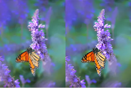 AI Image editor gallery image