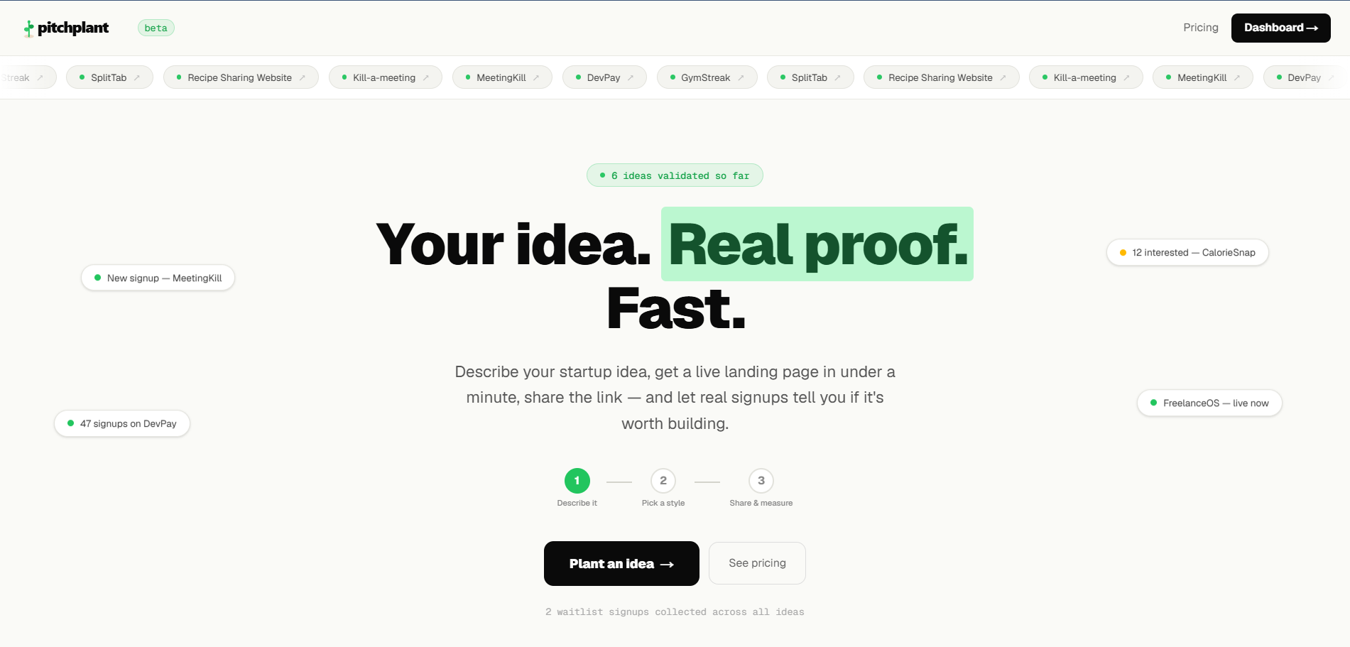 Pitchplant gallery image