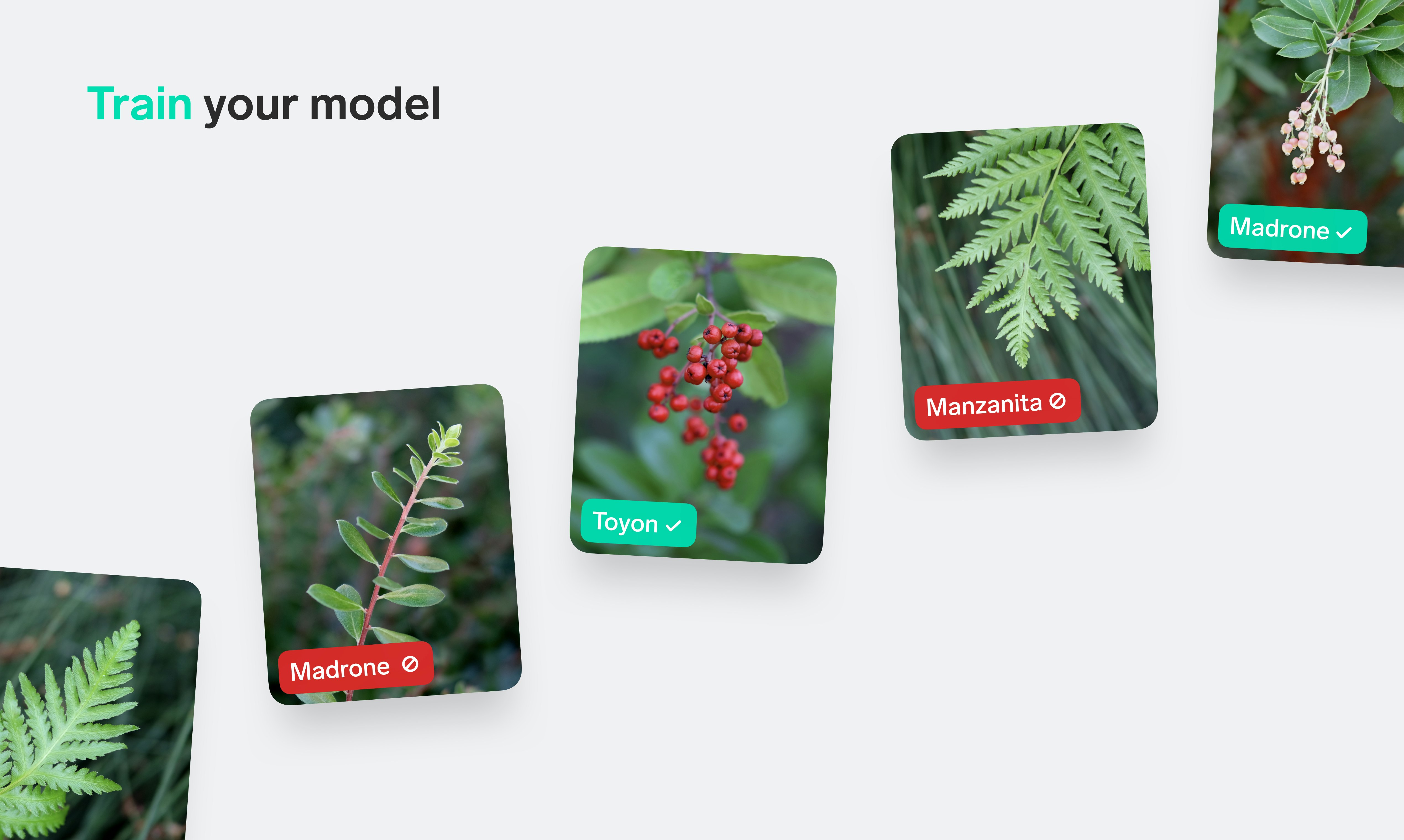 Lobe 2.0 gallery image