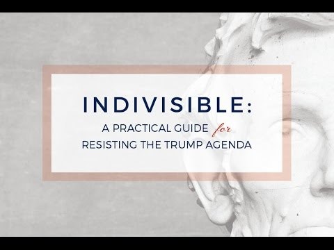 Indivisible Guide gallery image