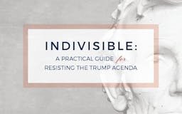 Indivisible Guide media 1