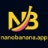 Nano Banana logo