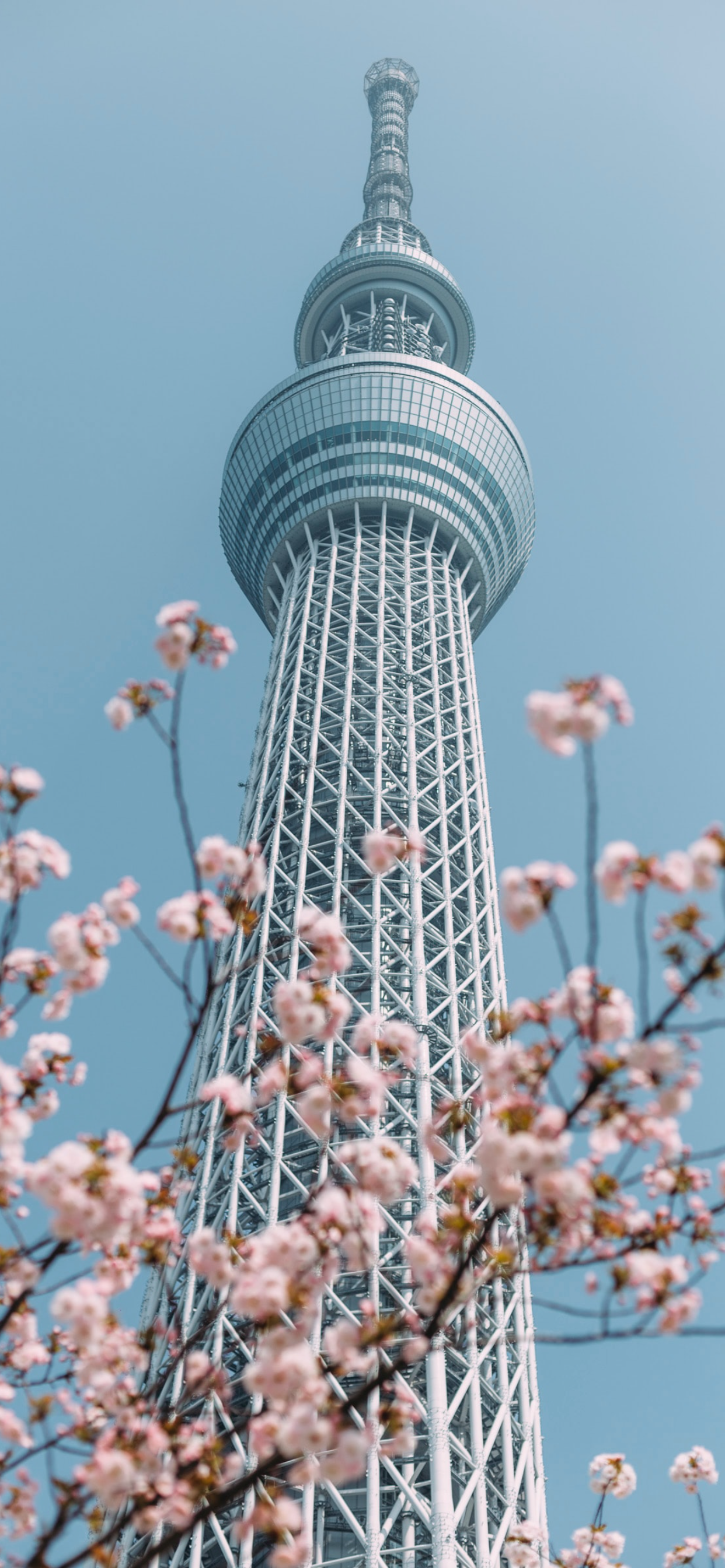 Japanese Wallpaper gallery image