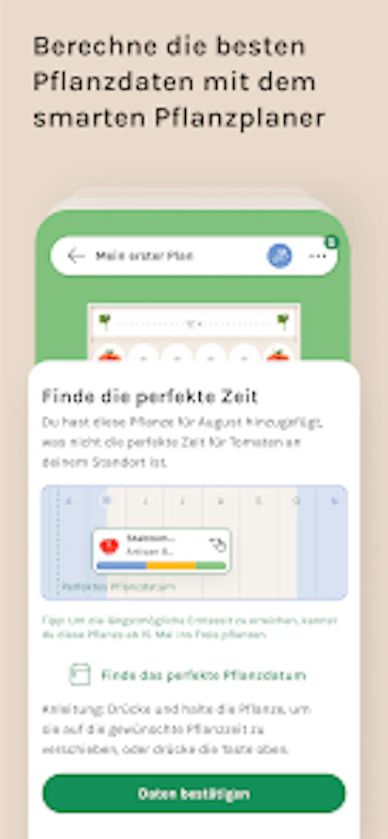 Alphabeet screenshot 2