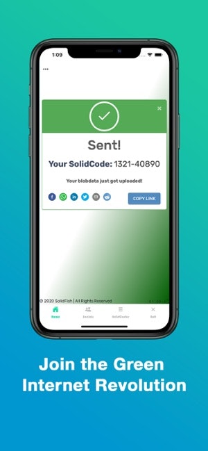 SolidFish gallery image