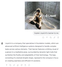 LFM2.5 gallery image