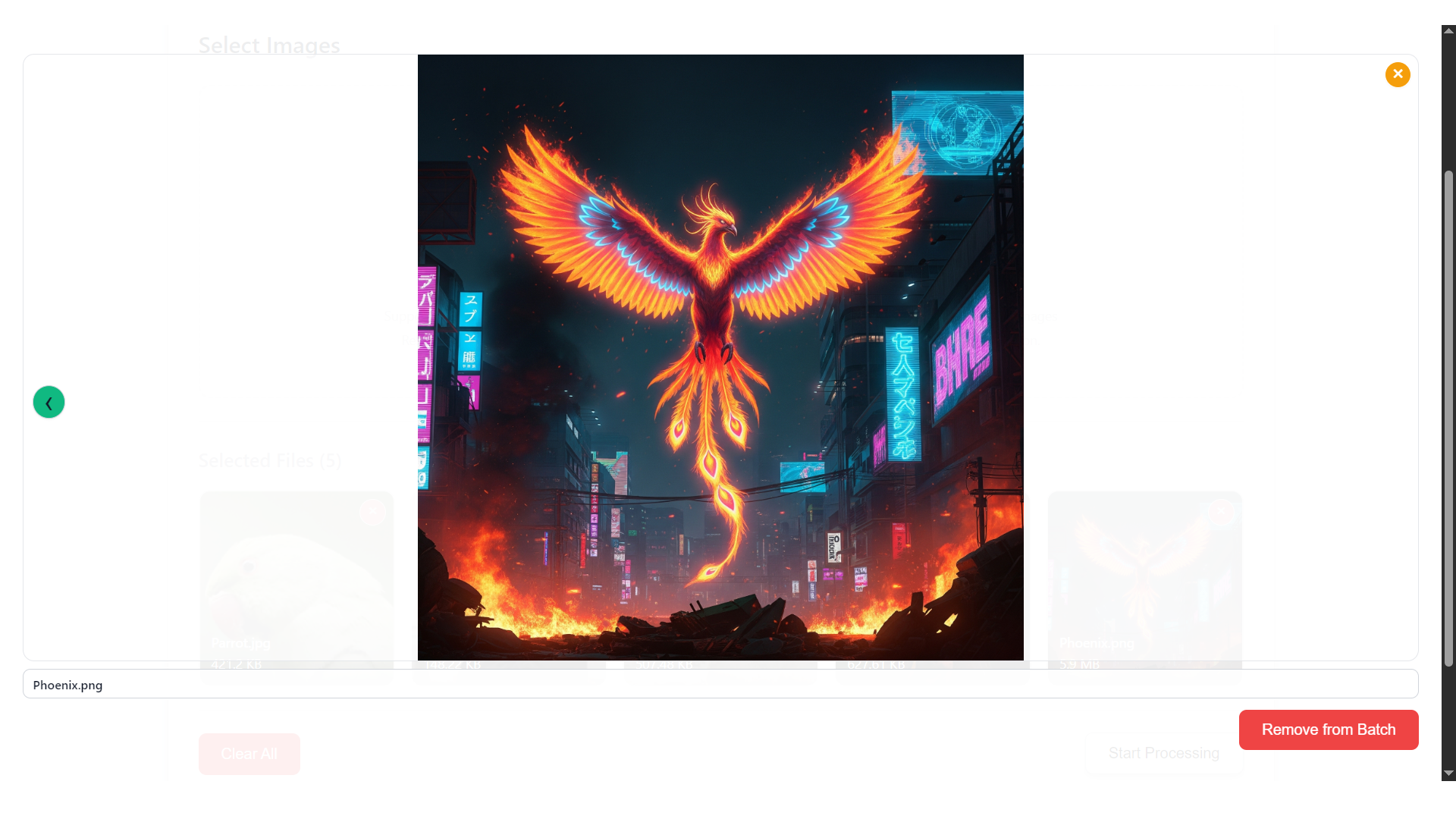 BIBROF AI gallery image