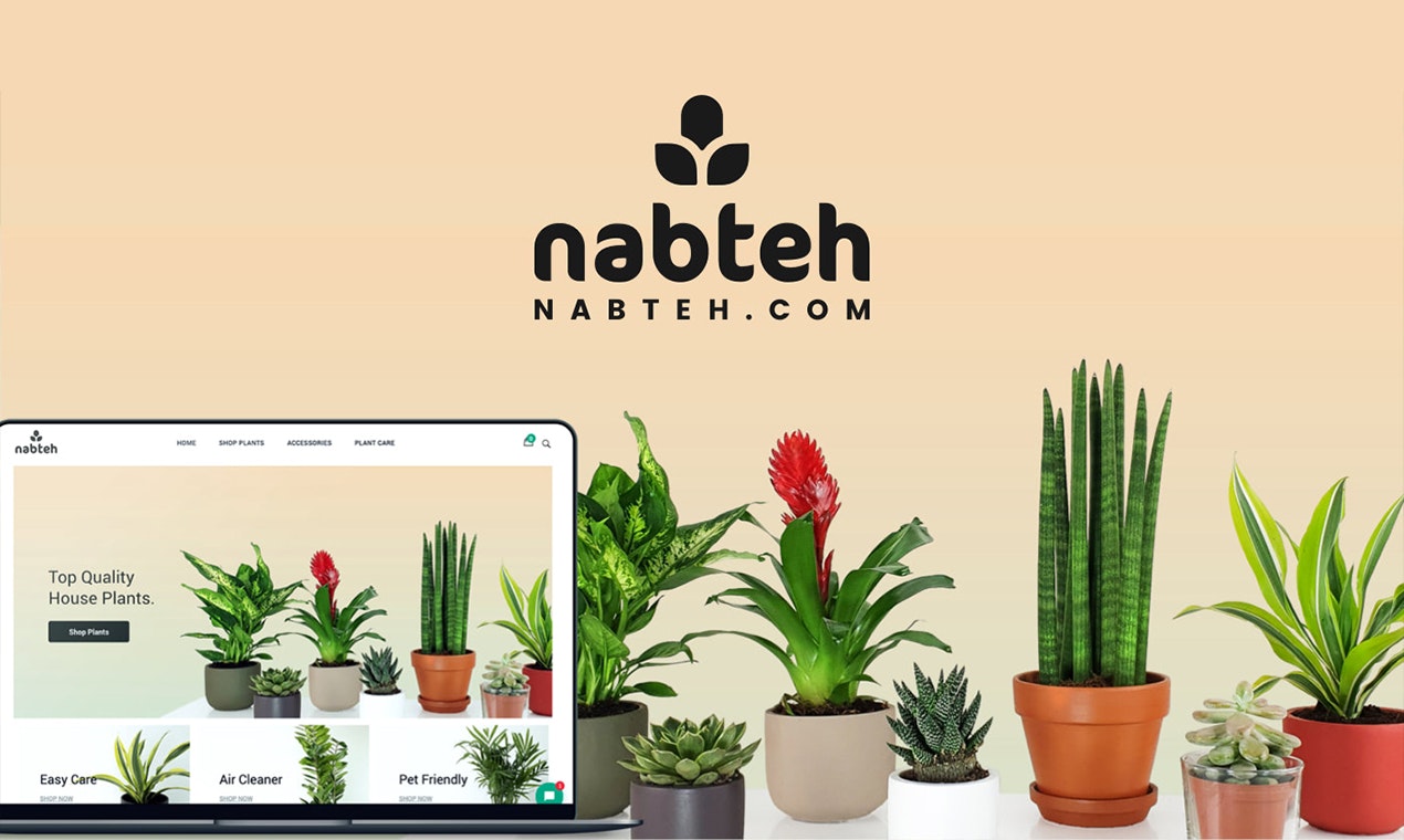 Nabteh.com gallery image