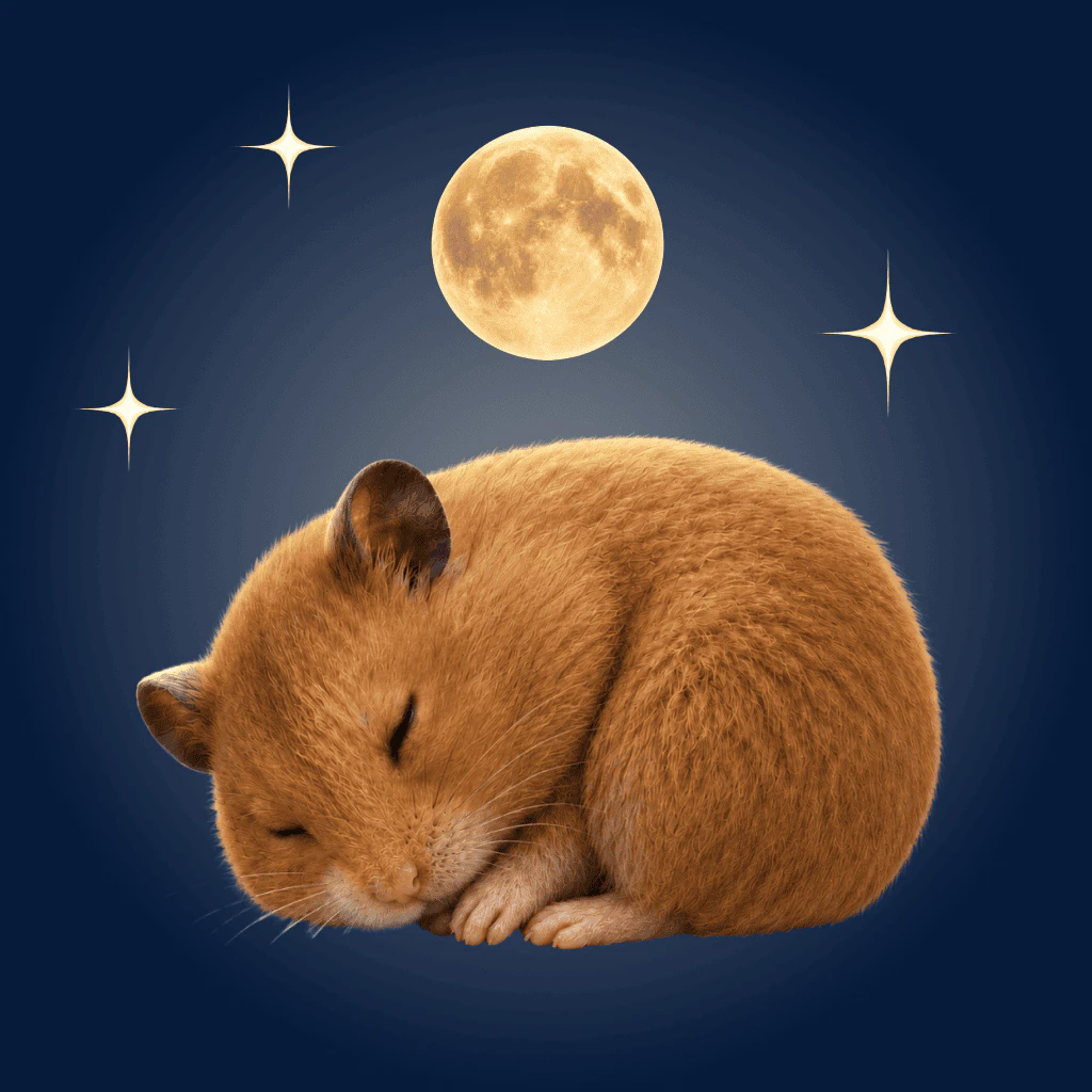 Goodnight Hamster