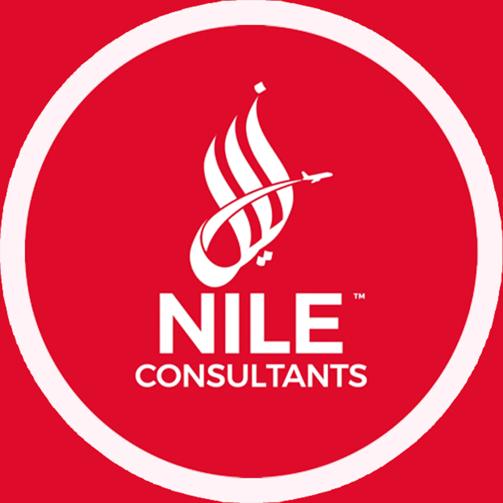 Nile Consultant screenshot 2