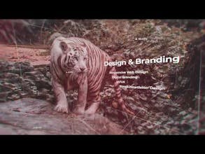 Lion's Share Digital gallery image