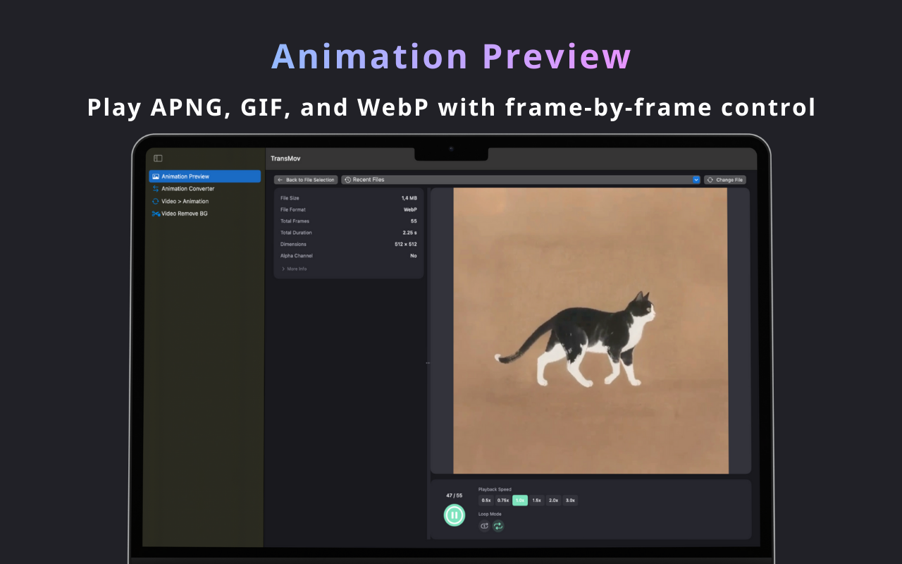 TransMov gallery image