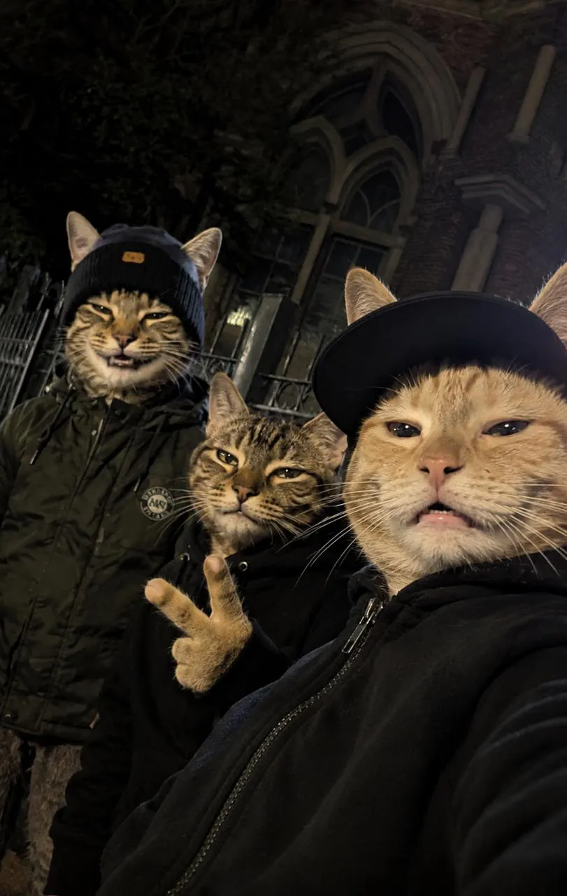 CAT ME app gallery image
