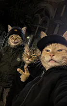 CAT ME app gallery image