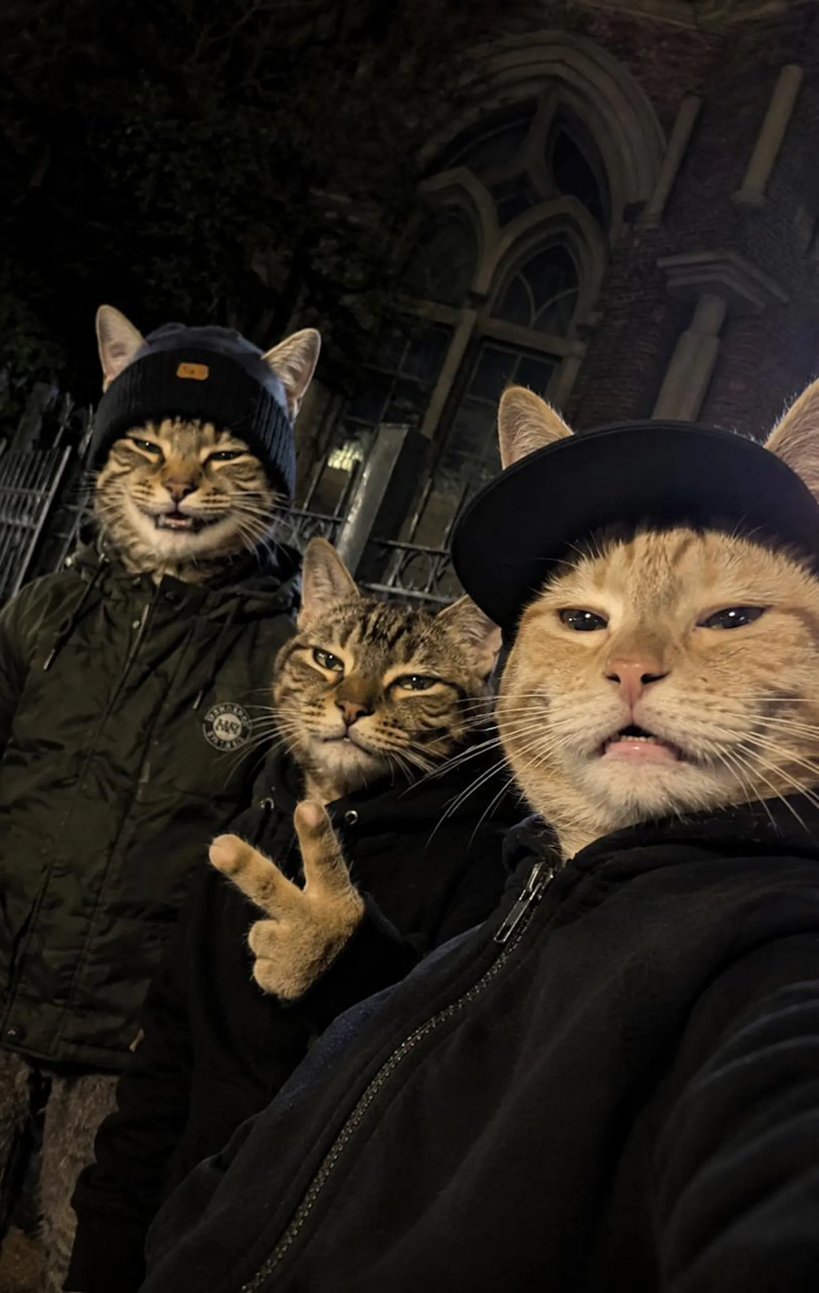 CAT ME app screenshot 4
