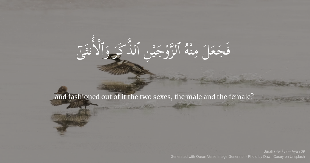 وسائط مولد صورة آية القرآن - قم بإنشاء صور جميلة من آيات القرآن لمشاركتها 9
