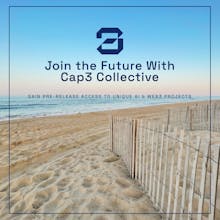 Cap3 Collective gallery image