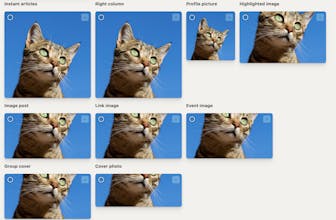 Pixelhunter gallery image