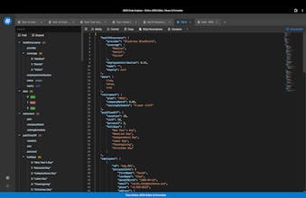 JSON Editor & Analyzer gallery image