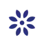 Donatefy