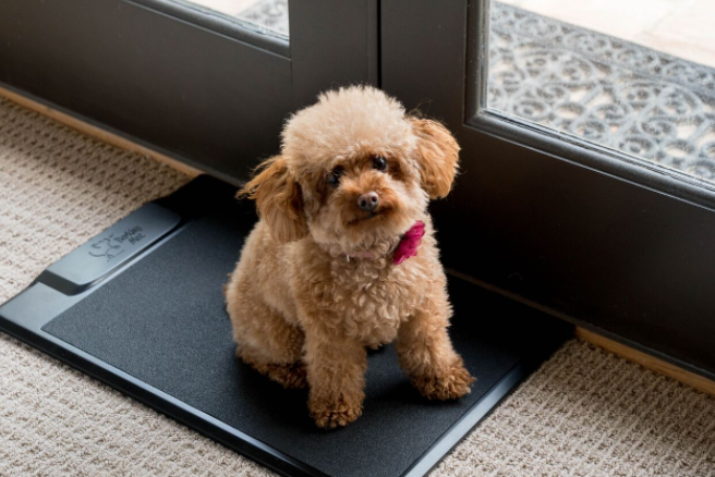 Barking Mat gallery image