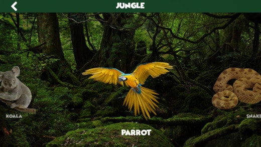 MyZoo - Animal sounds for Kids gallery image