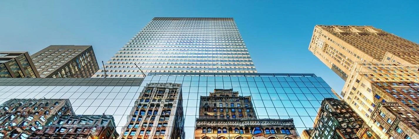 Alex Bashinsky cover