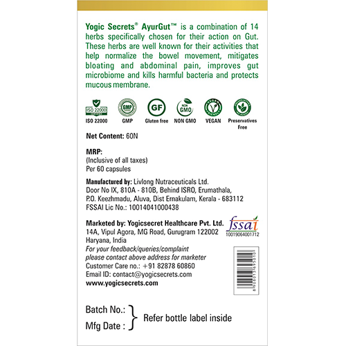 Yogic Secrets AyurGut gallery image