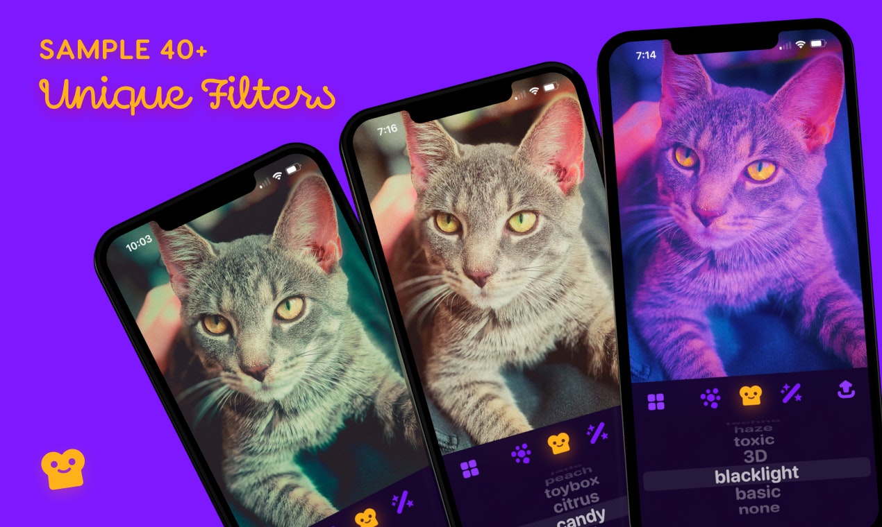 Photoaster media 3