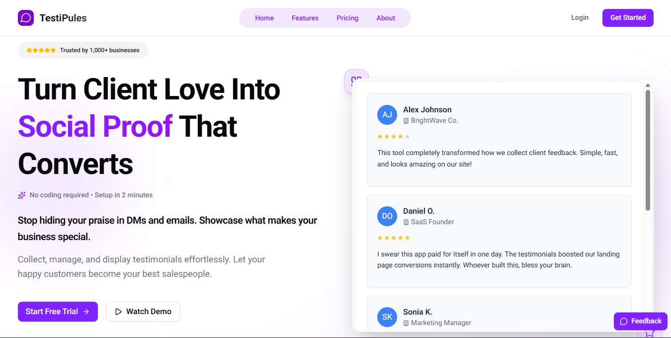 TestiPules - Screenshot 2 showing product features and functionality