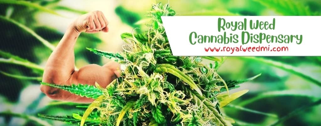 皇家雜草大麻 media 1