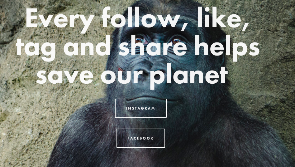 Pay our Planet gallery image