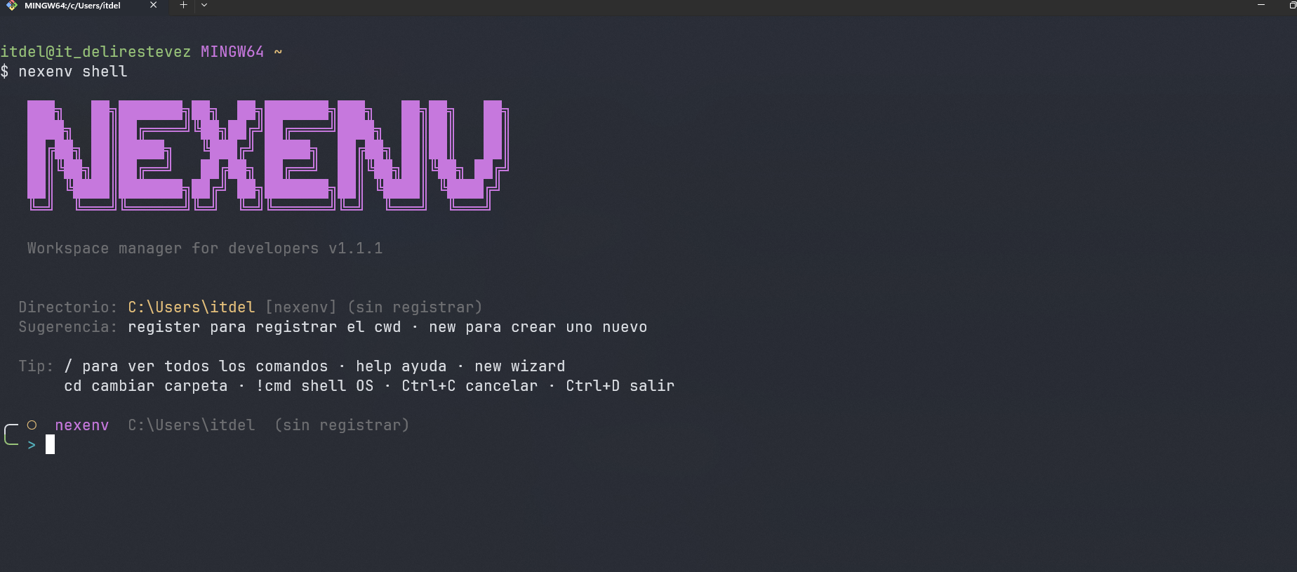 Nexenv – Dev Environment Manager gallery image