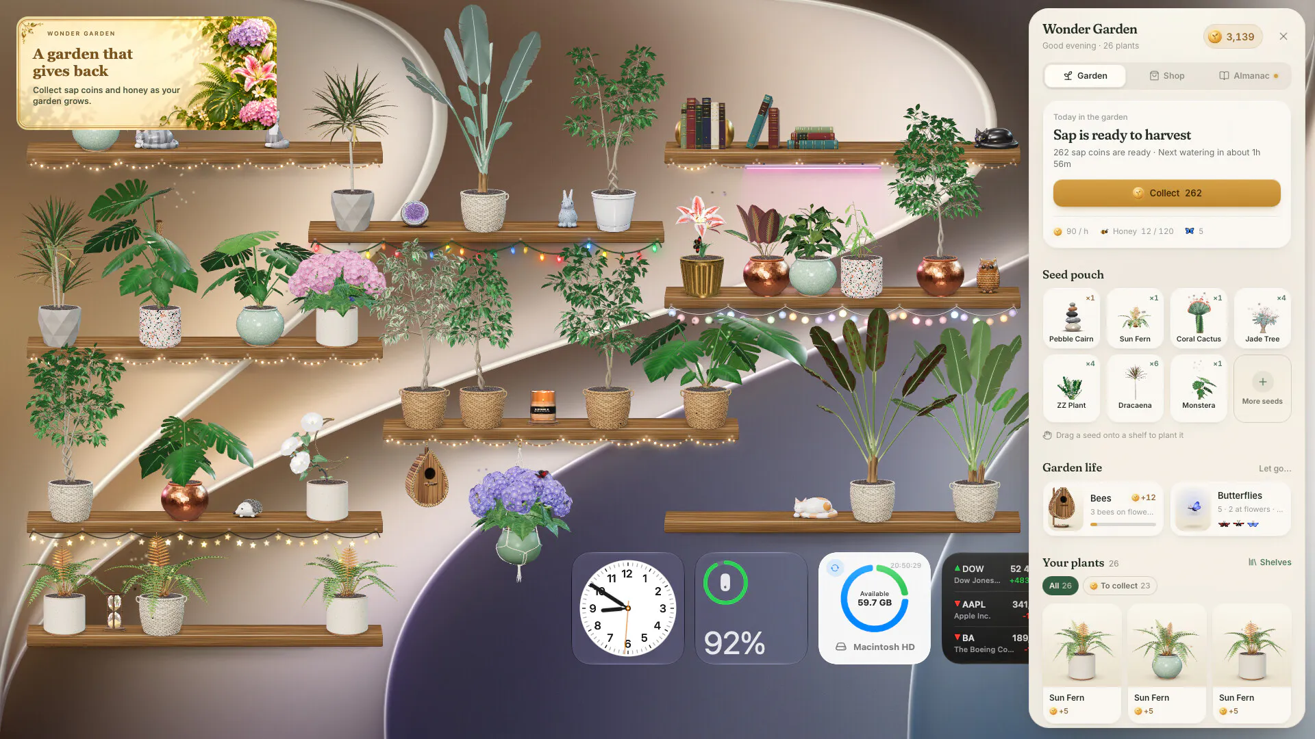 Wonder Garden gallery image