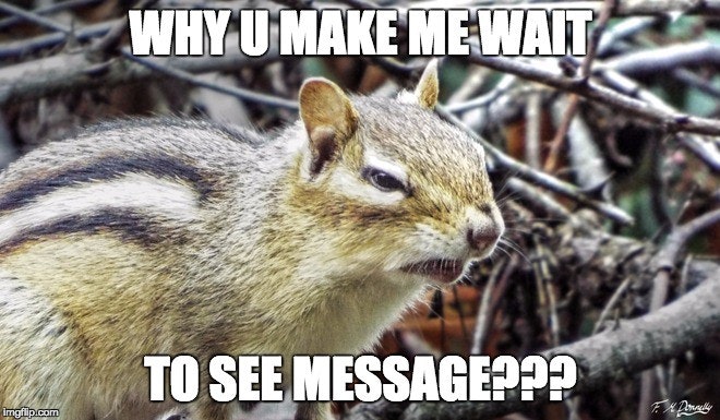 Sealed Messenger gallery image