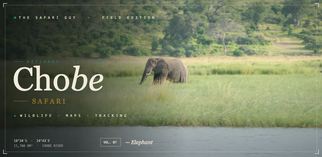 The Safari Guy gallery image