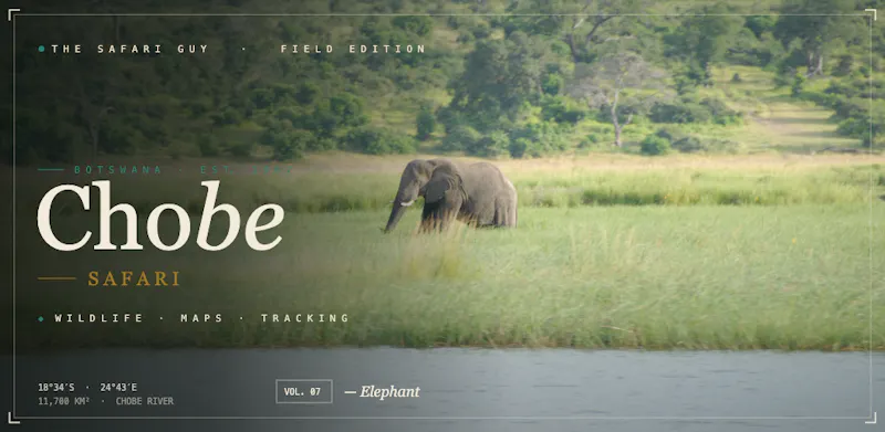 The Safari Guy screenshot 5
