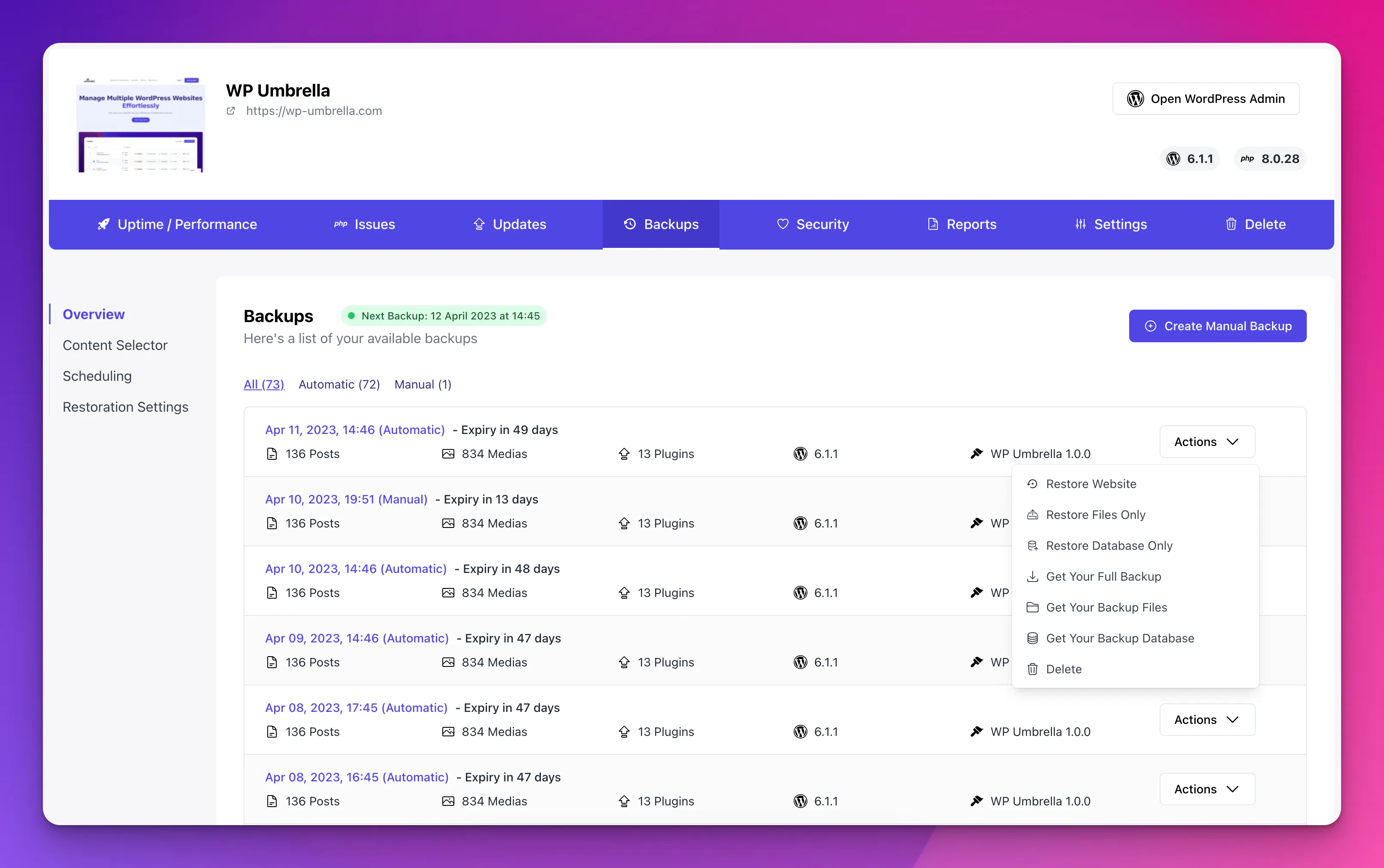 WP Umbrella screenshot