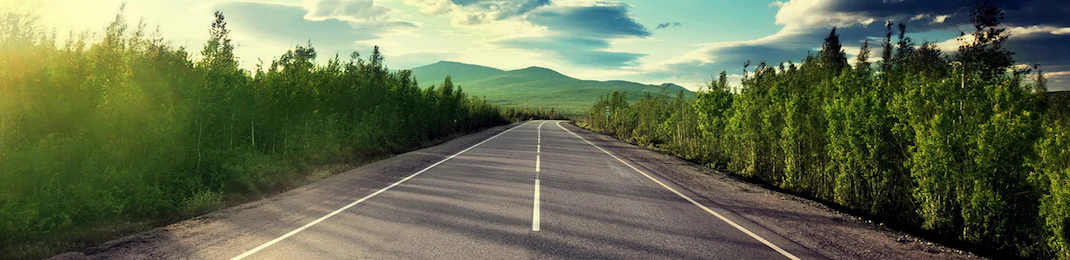 Giovanni Lepori cover