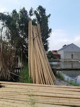Nguyên Liệu Tre gallery image