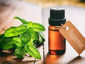 Wholesale essential oils from India gallery image